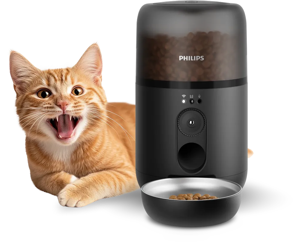 Cat feeding app features