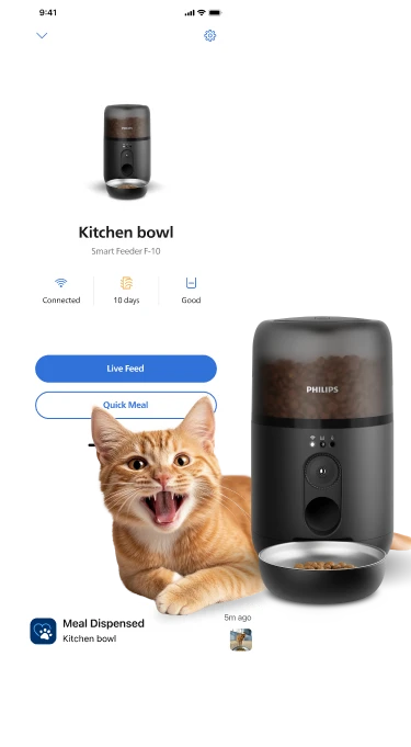 Cat feeding app features